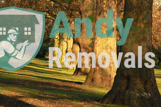 Andy Removal St James's (SW1)